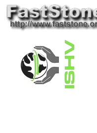 Do I Have to Copyright My Logo
